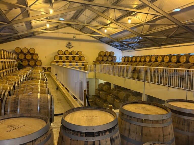 Distillerie Bologne