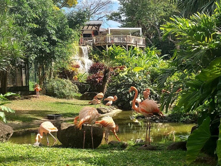 Jardin Botanique de Deshaies