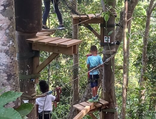 Akropark, parc aventure de Petit-Bourg