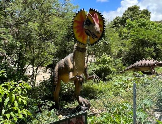 Jurassic Island