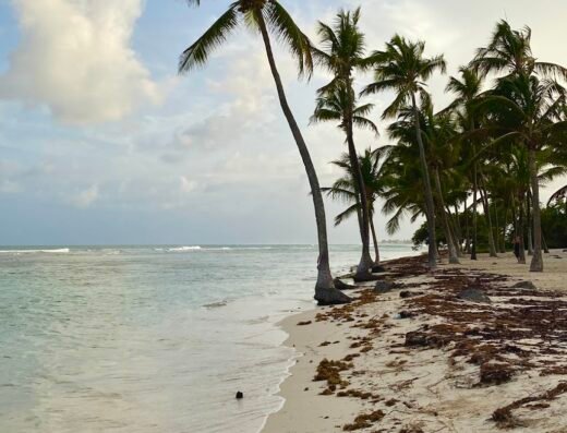 plage de Bois Jolan