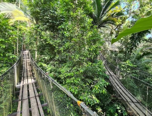 Zoo de Guadeloupe au Parc Des Mamelles