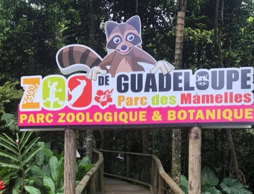 Zoo de Guadeloupe au Parc Des Mamelles