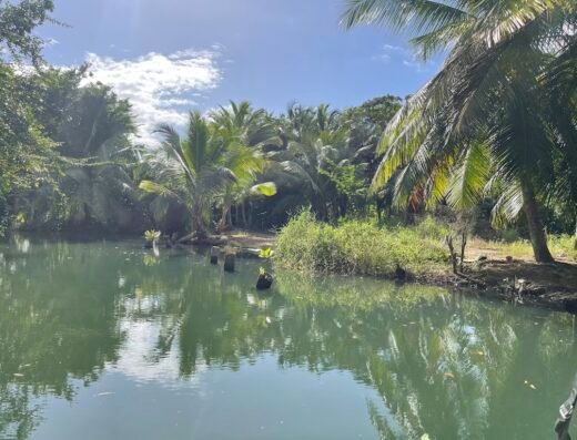 Blue Lagoon Excursion