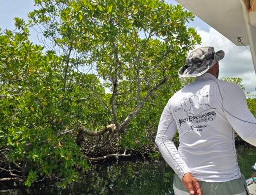 Nico Excursions Guadeloupe en bateau