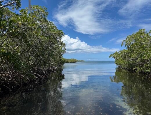 Nico Excursions Guadeloupe en bateau